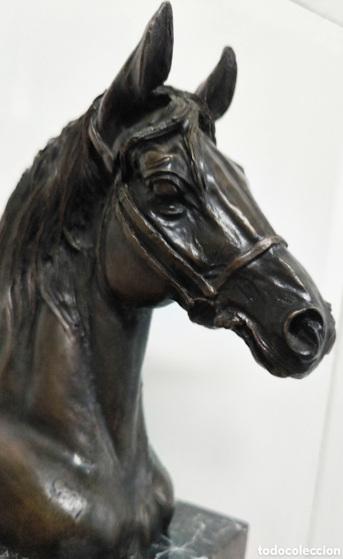 Antig&uuml;edades: GRAN CABEZA DE CABALLO BRONCE - Foto 6