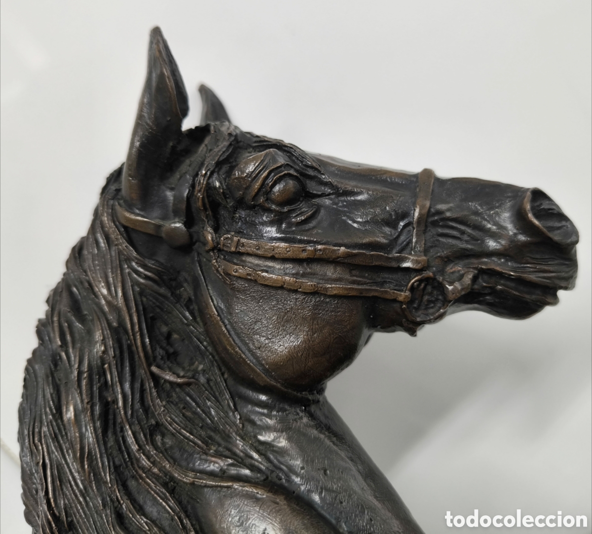 Antig&uuml;edades: GRAN CABEZA DE CABALLO BRONCE - Foto 8