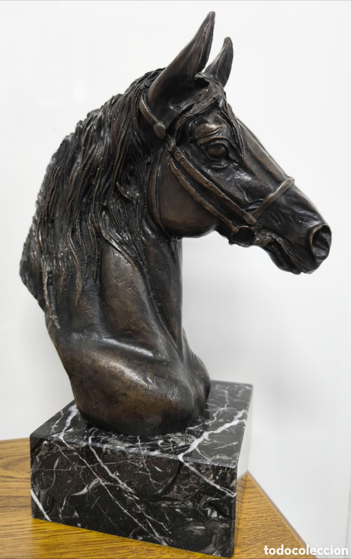 Antig&uuml;edades: GRAN CABEZA DE CABALLO BRONCE - Foto 1