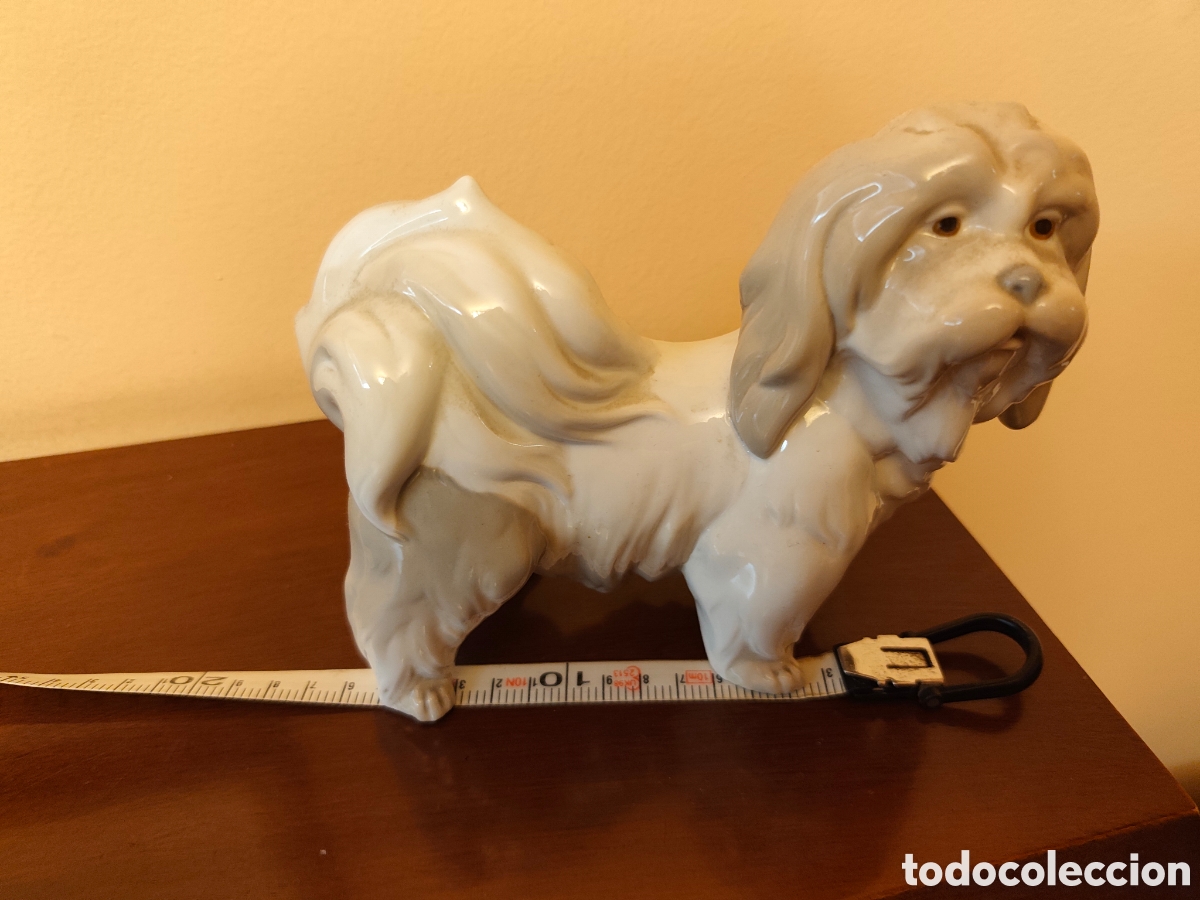 Antig&uuml;edades: Lladr&oacute; perro mostachos - Foto 4