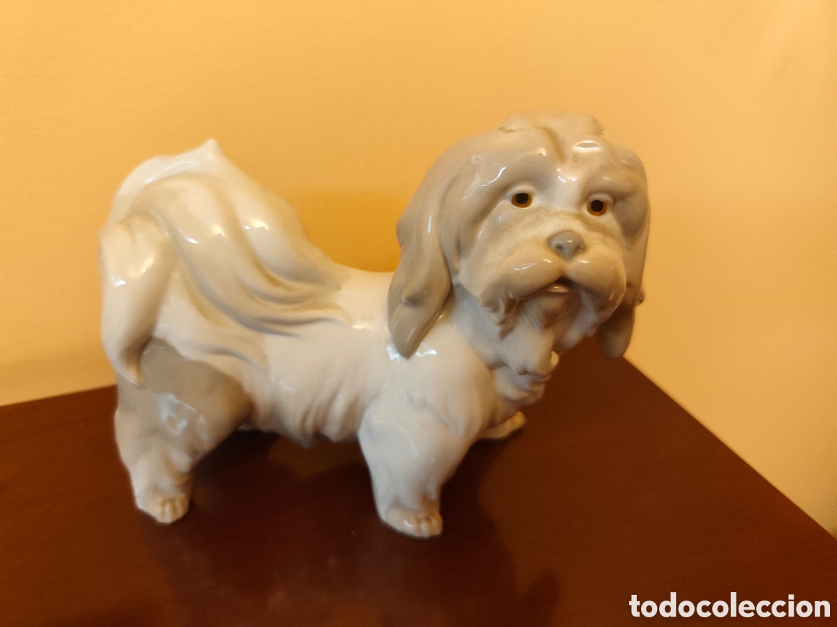 Antig&uuml;edades: Lladr&oacute; perro mostachos - Foto 1