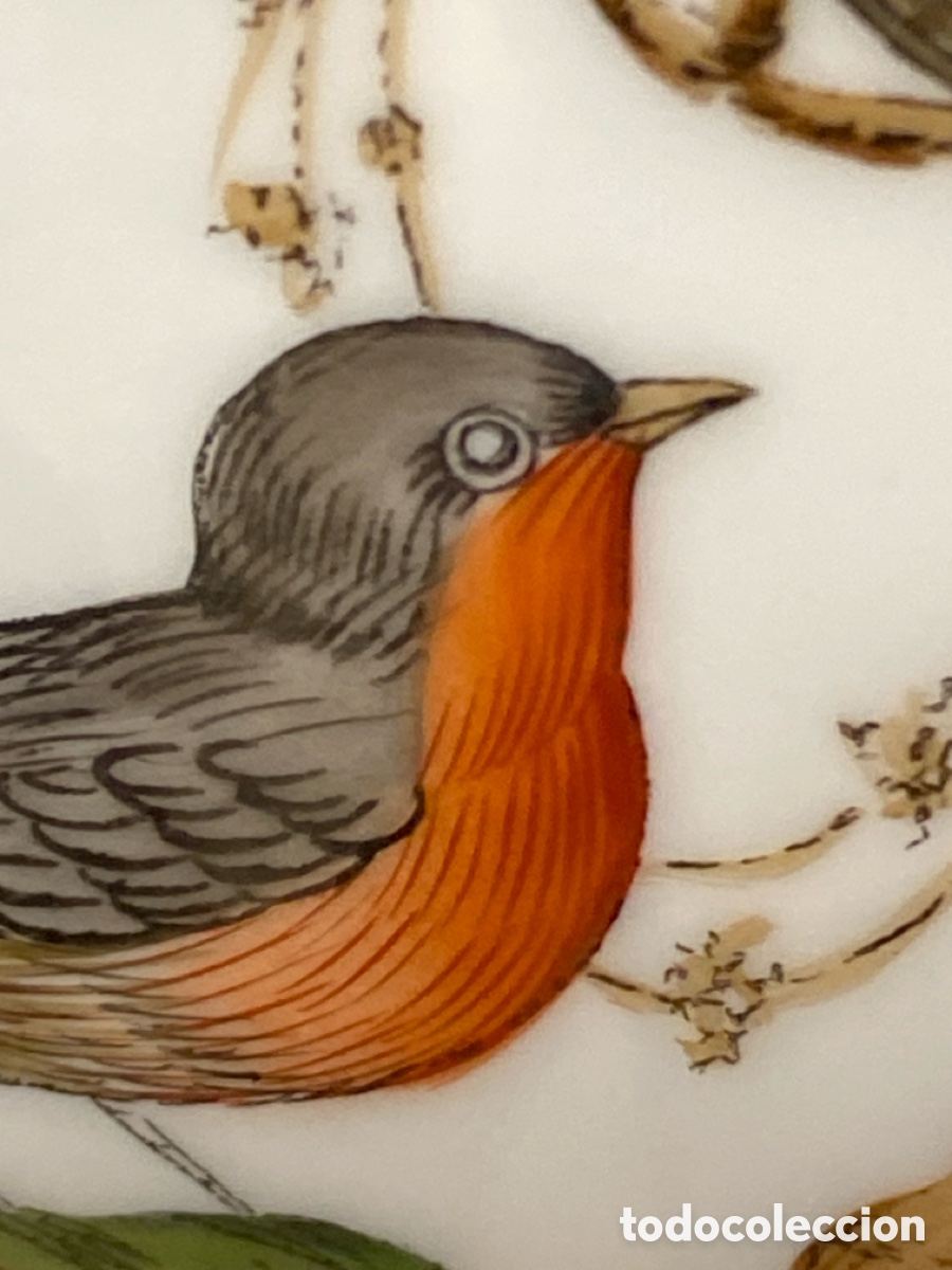 Antig&uuml;edades: HEREND Porcelana H&uacute;ngara - Foto 5