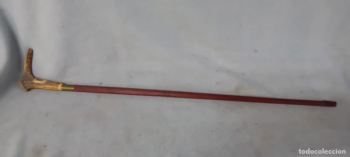 Antig&uuml;edades: Baston de madera de seccion octogonal,mango de asta - Foto 1