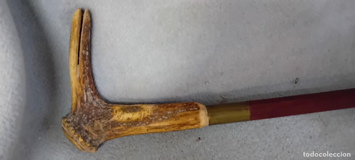 Antig&uuml;edades: Baston de madera de seccion octogonal,mango de asta - Foto 2