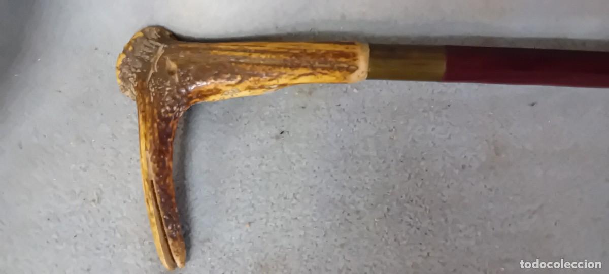Antig&uuml;edades: Baston de madera de seccion octogonal,mango de asta - Foto 3