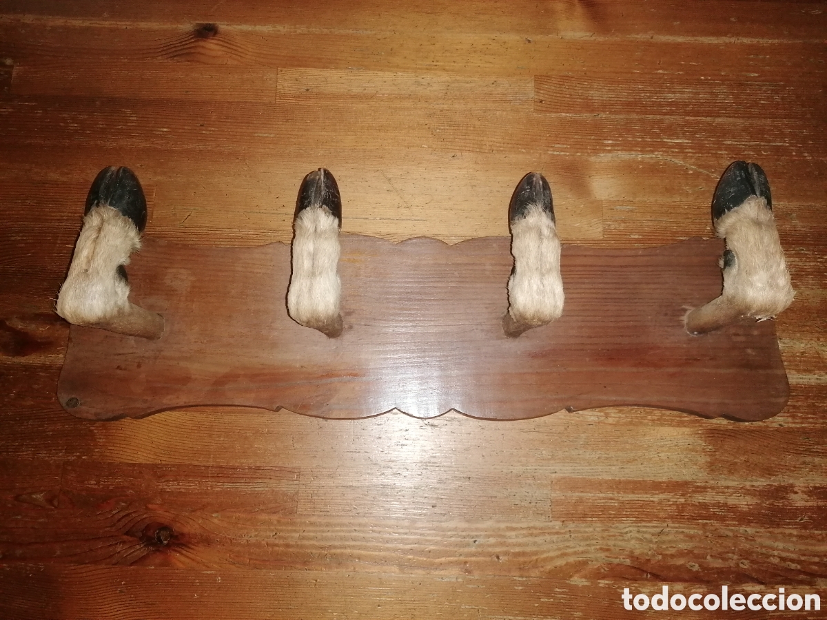Antig&uuml;edades: Antiguo perchero taxidermia - Foto 3