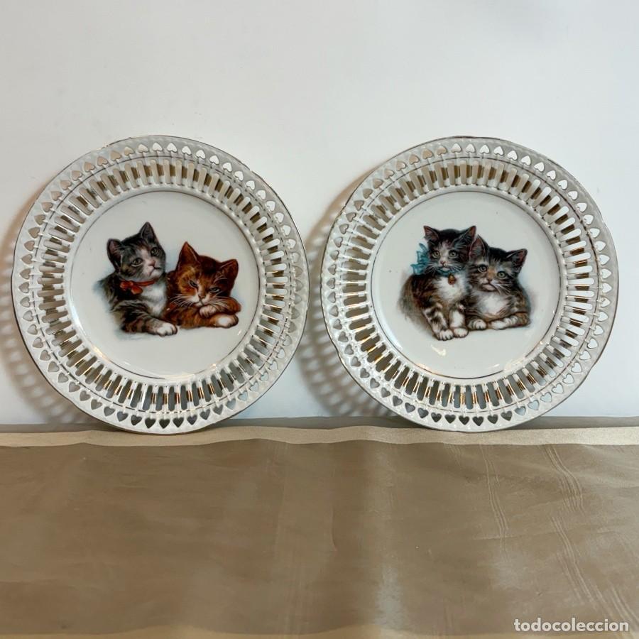 Antig&uuml;edades: Platos Decorativos con Gatos - Foto 1