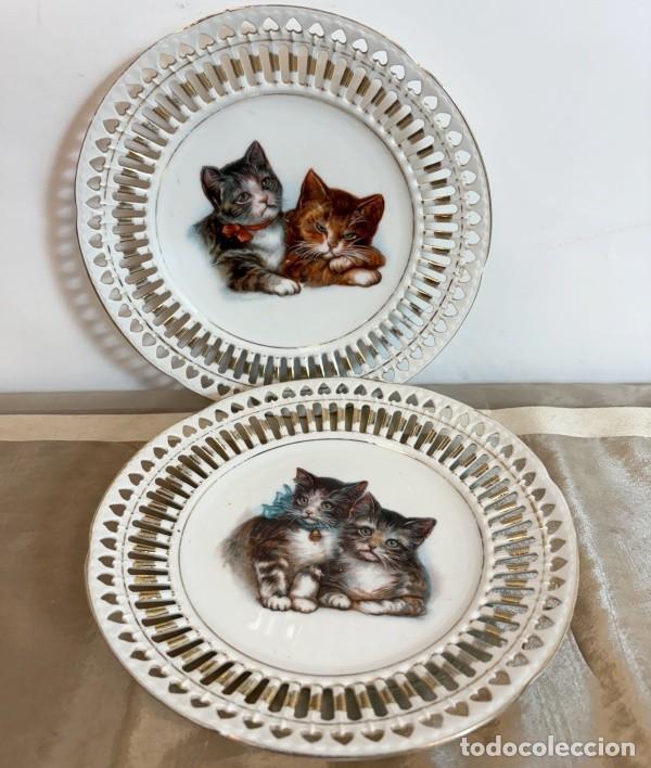 Antig&uuml;edades: Platos Decorativos con Gatos - Foto 2