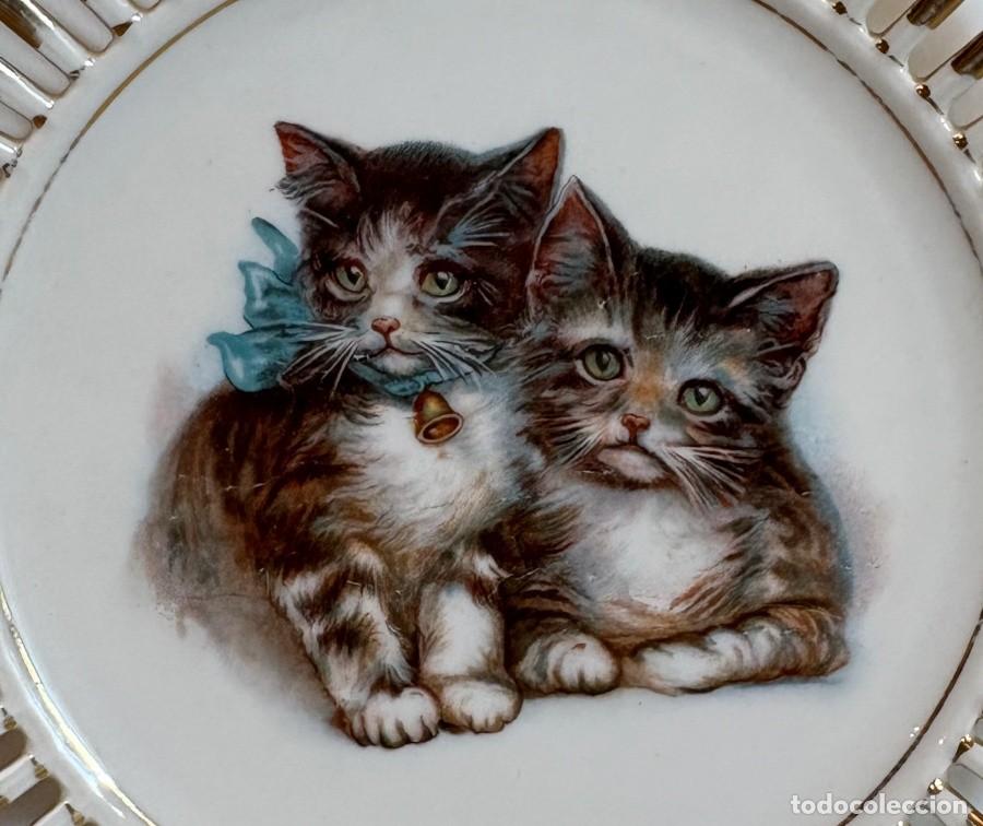 Antig&uuml;edades: Platos Decorativos con Gatos - Foto 7