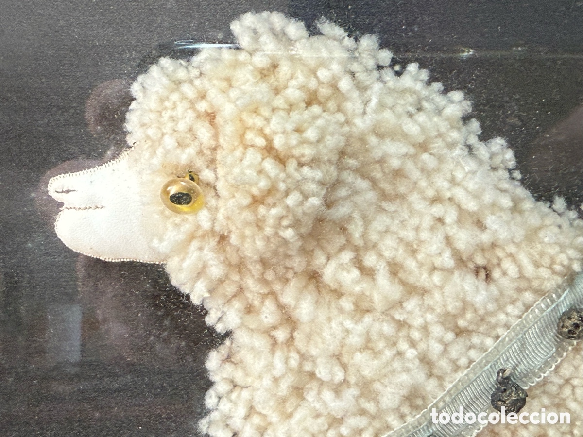 Antig&uuml;edades: Diorama 3 dimensiones con perro bordado. 58x46 cms. - Foto 3