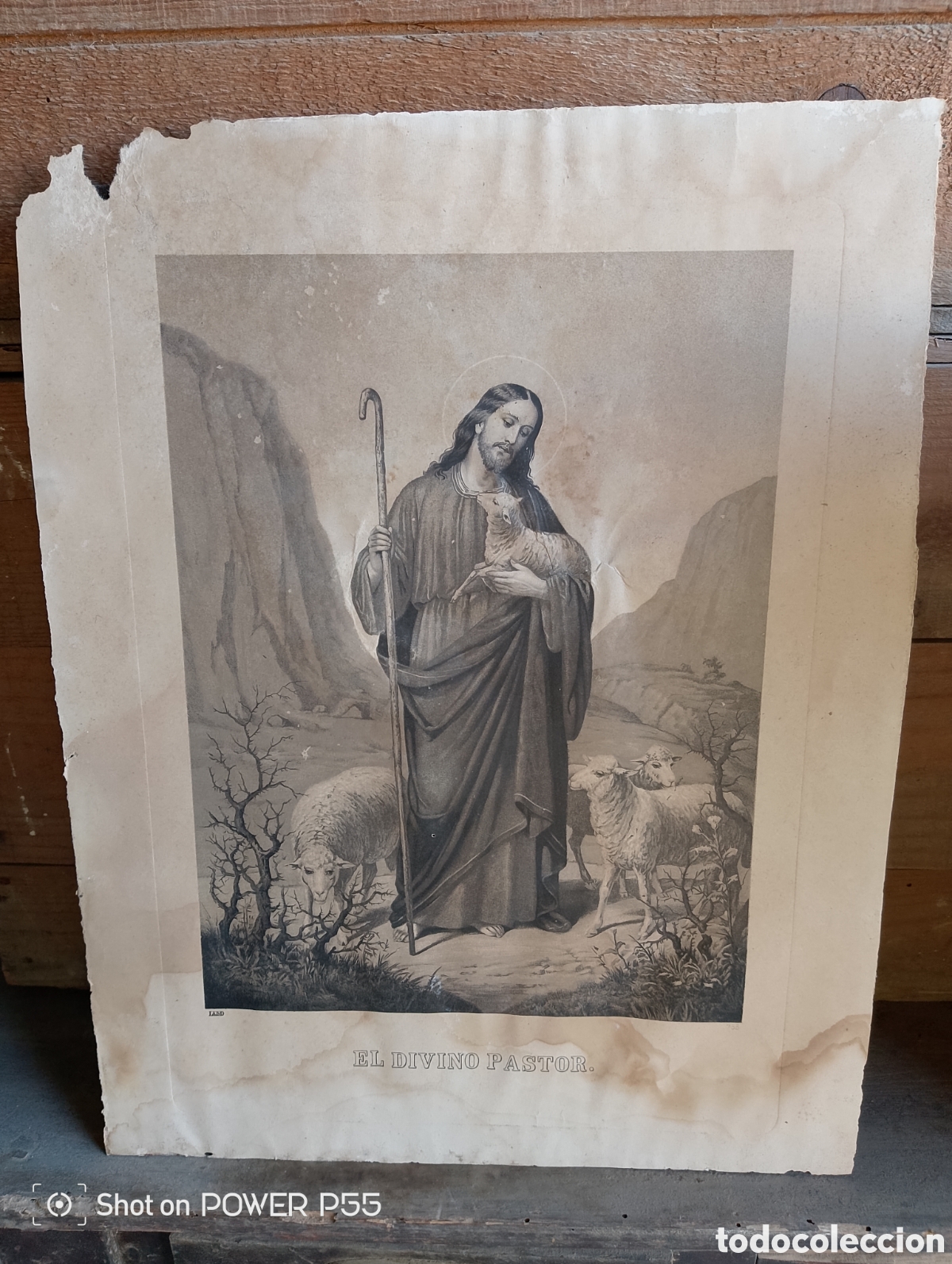 Antig&uuml;edades: Litograf&iacute;a el divino pastor - Foto 3