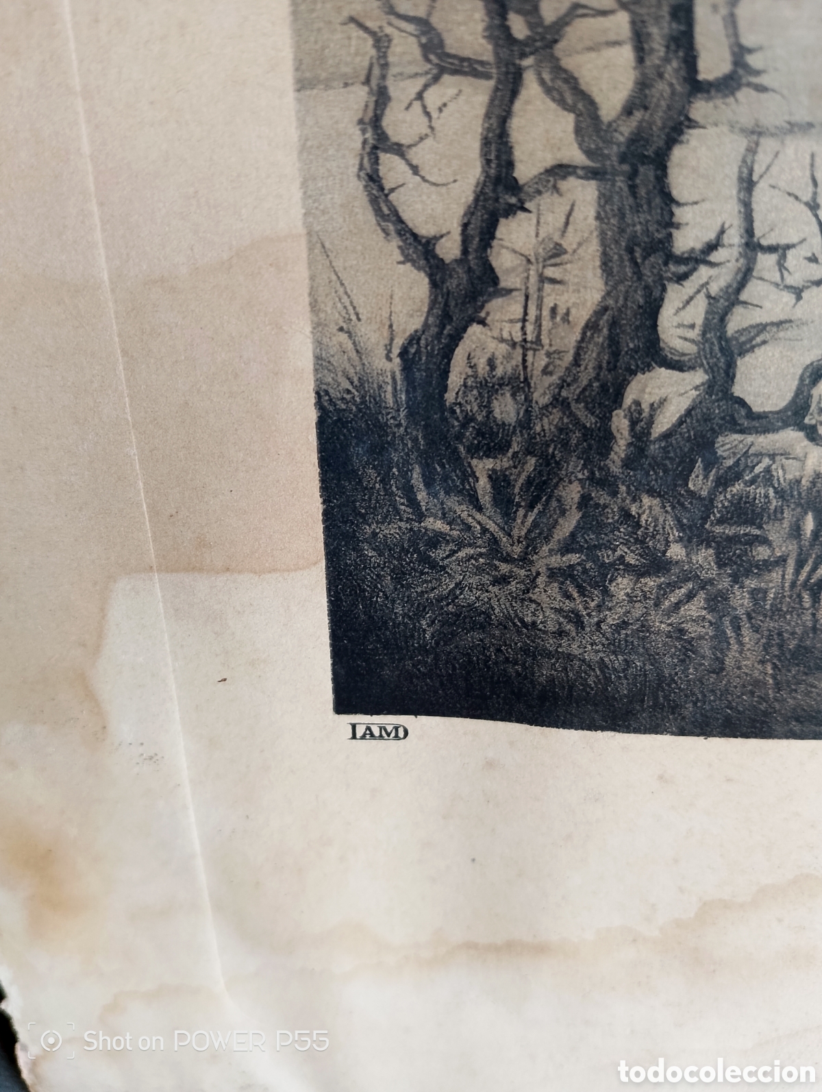 Antig&uuml;edades: Litograf&iacute;a el divino pastor - Foto 5
