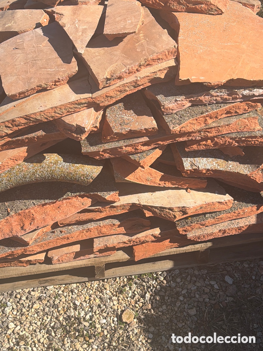 Antig&uuml;edades: Suelo en trozos de tinaja - Foto 1