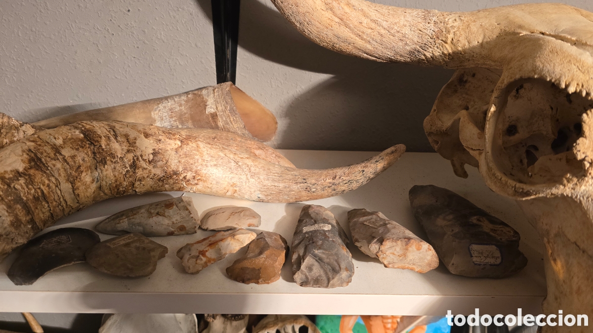 Antig&uuml;edades: Herramientas paleolitico - Foto 3