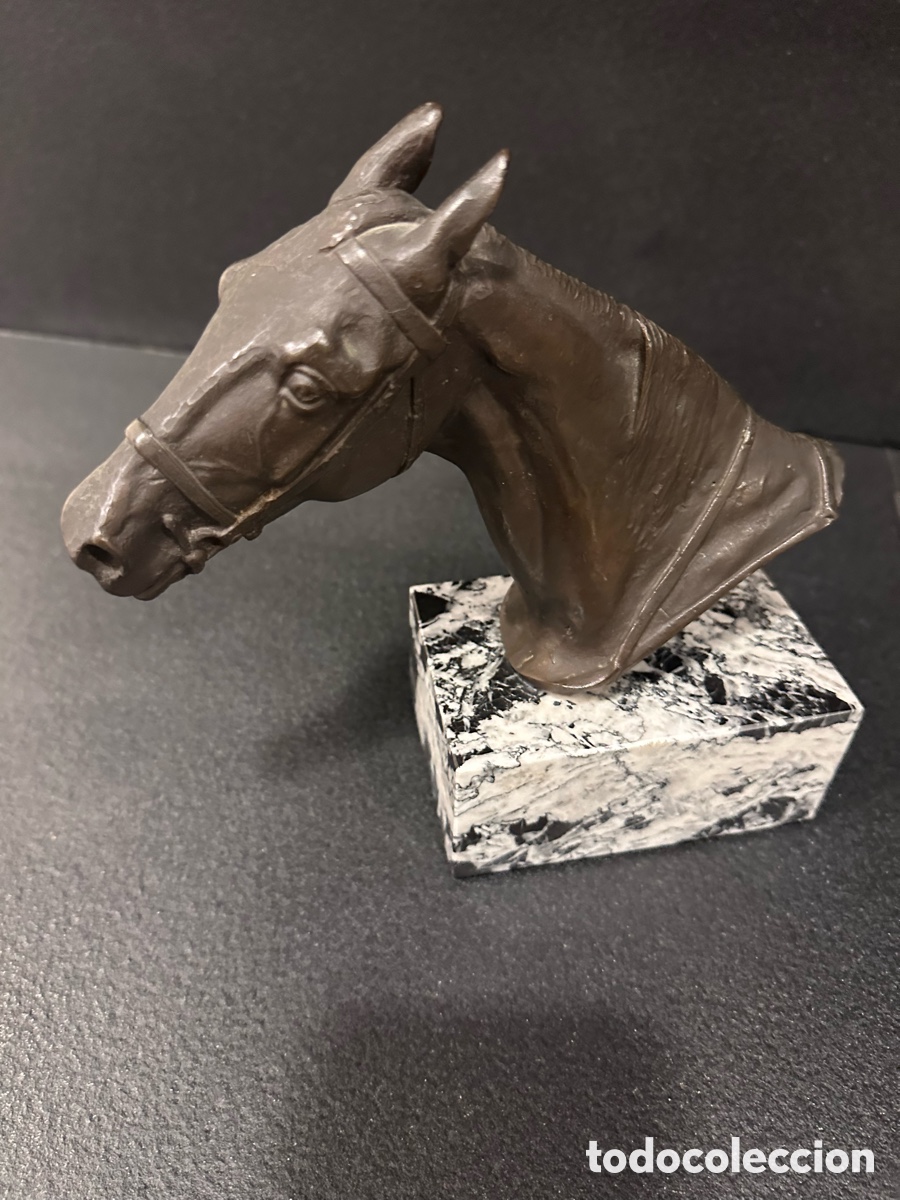 Antig&uuml;edades: Cabeza de caballo en m&aacute;rmol - Foto 1