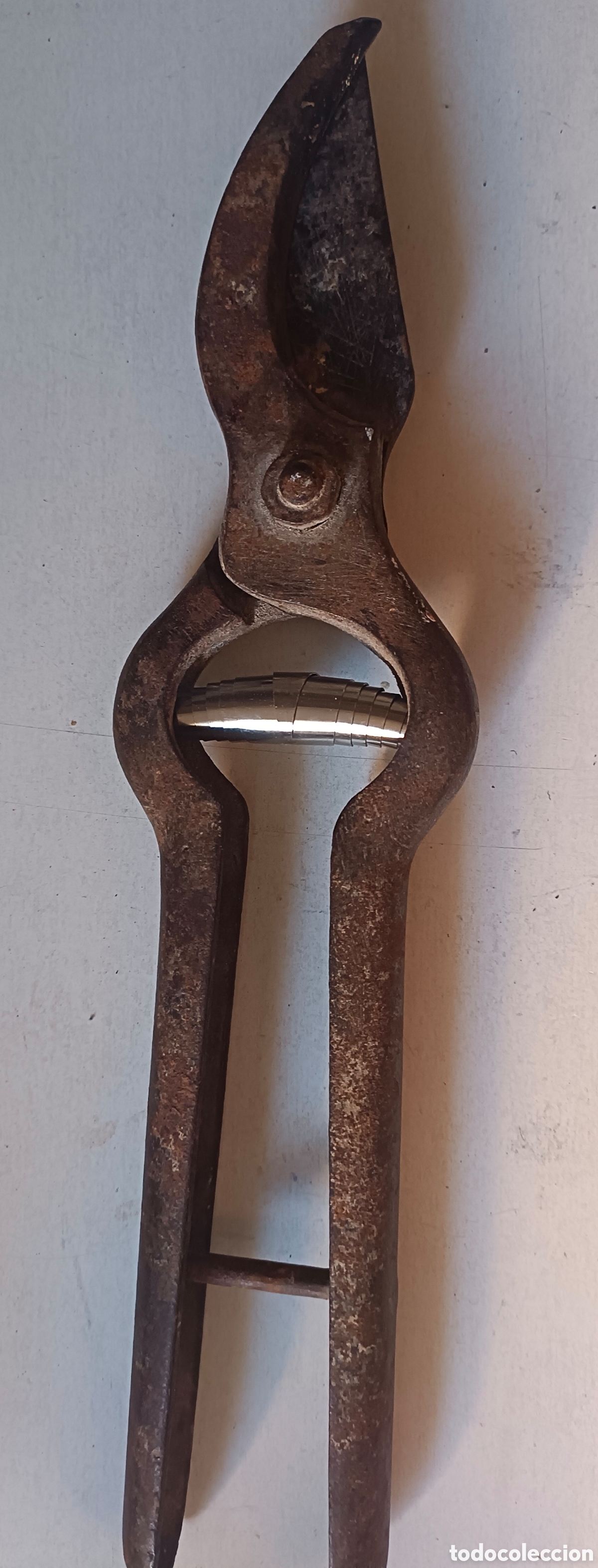 Antig&uuml;edades: Tijeras de podar grandes - Foto 5