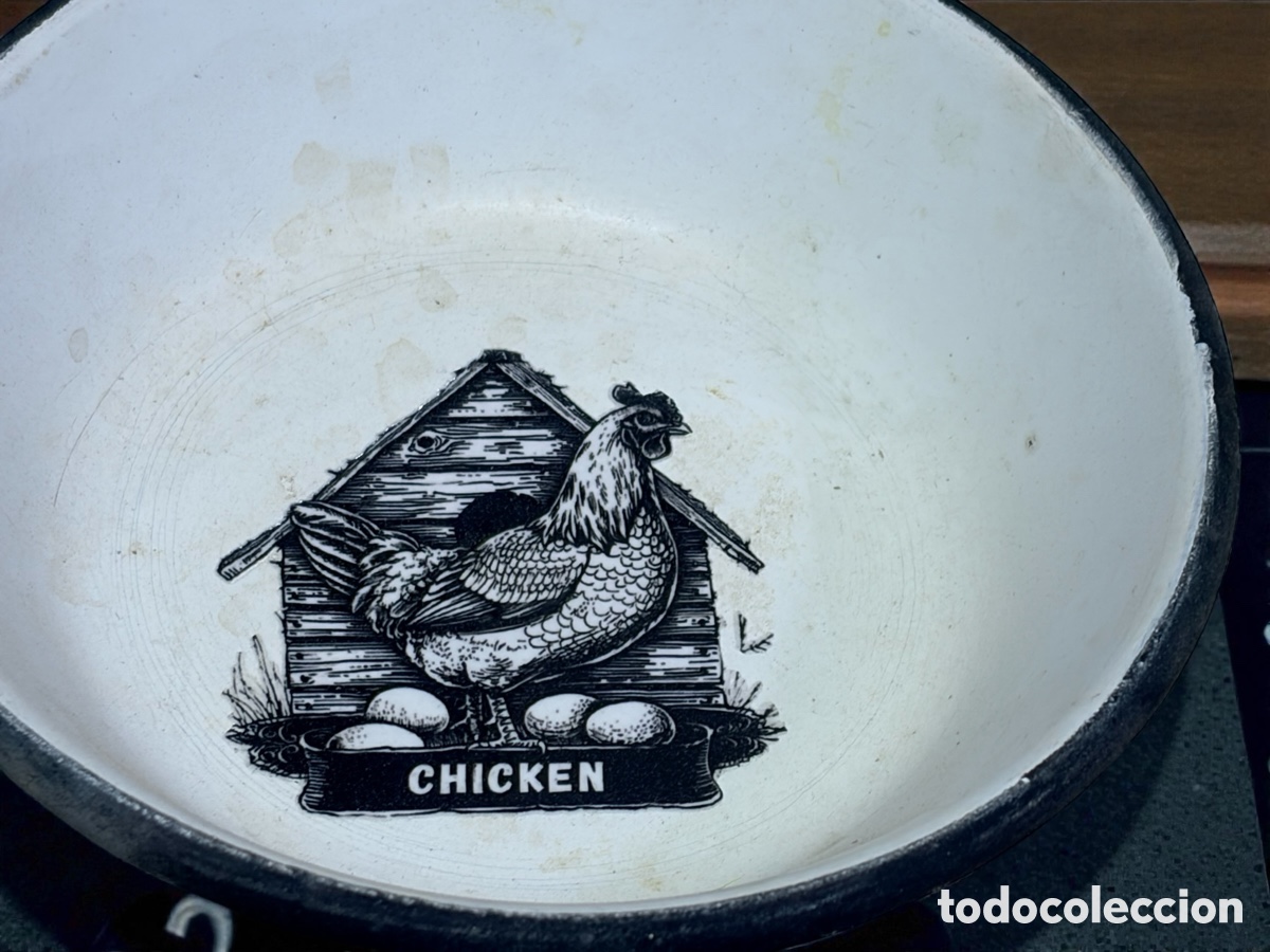 Antig&uuml;edades: Antigua fuente esmaltada - Foto 3