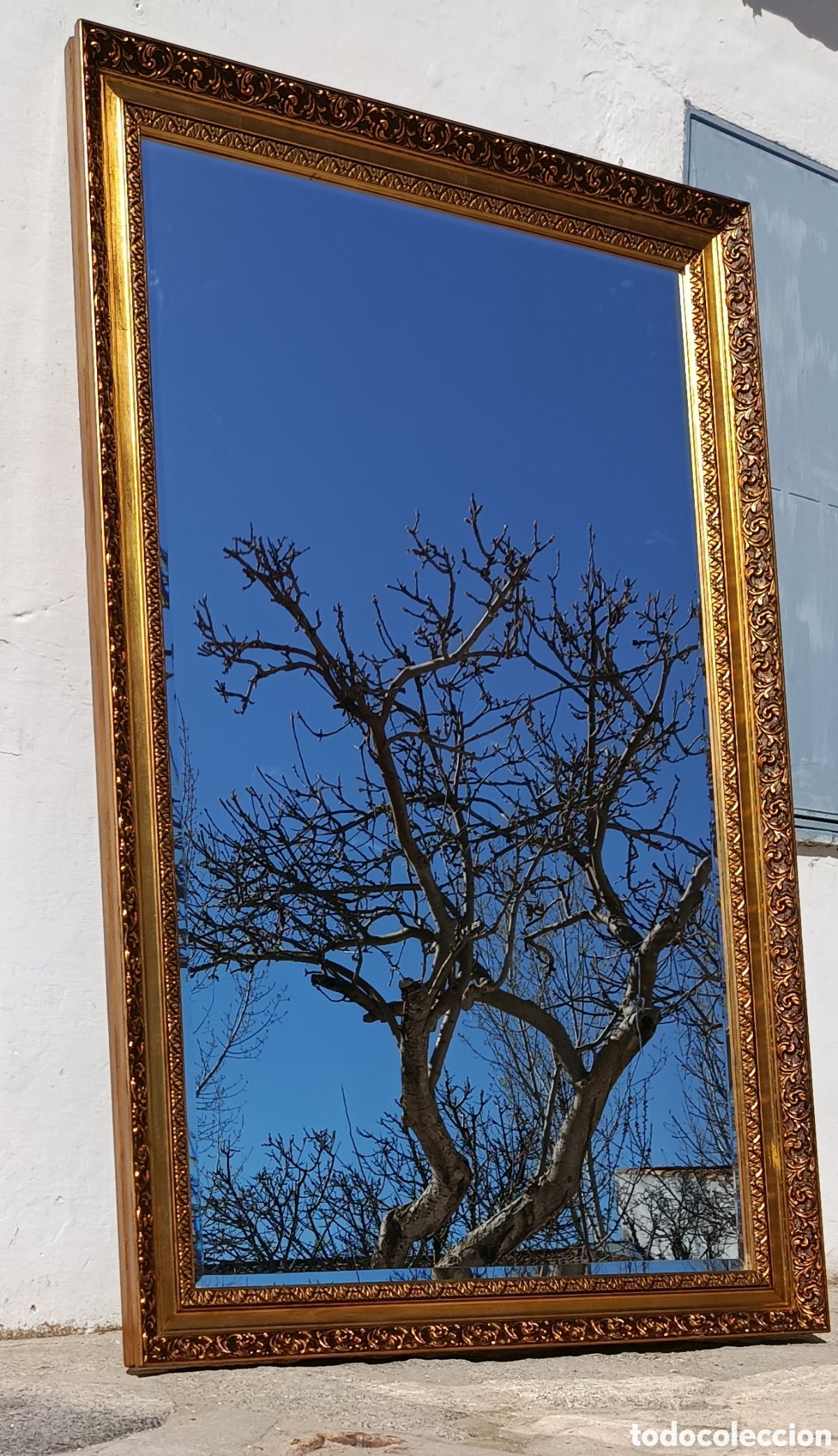 Antig&uuml;edades: Espejo de gran tama&ntilde;o - Foto 1