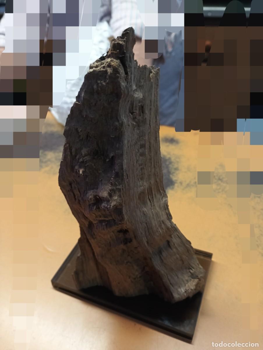 Antig&uuml;edades: MADERA SUMERGIDA-PANT&Agrave; DE SAU. - Foto 3