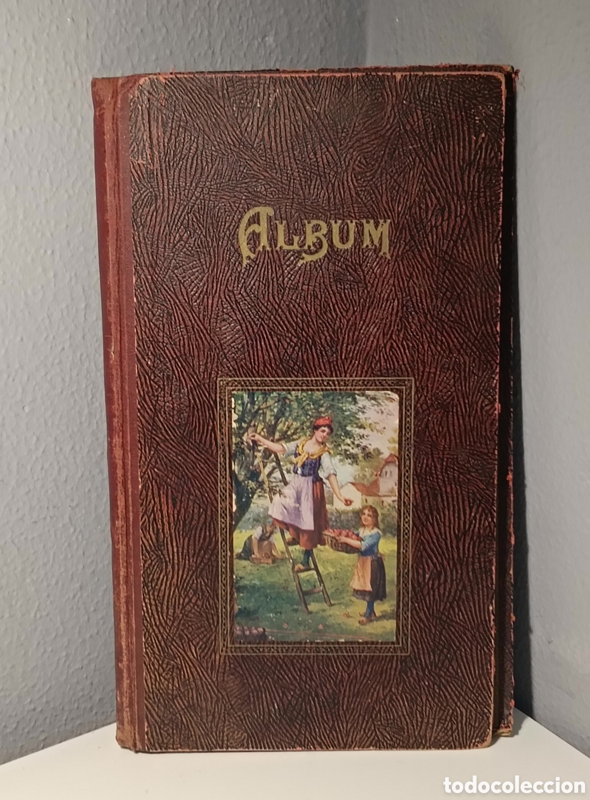 Antig&uuml;edades: &Aacute;lbum antiguo postales fotograf&iacute;as Vintage