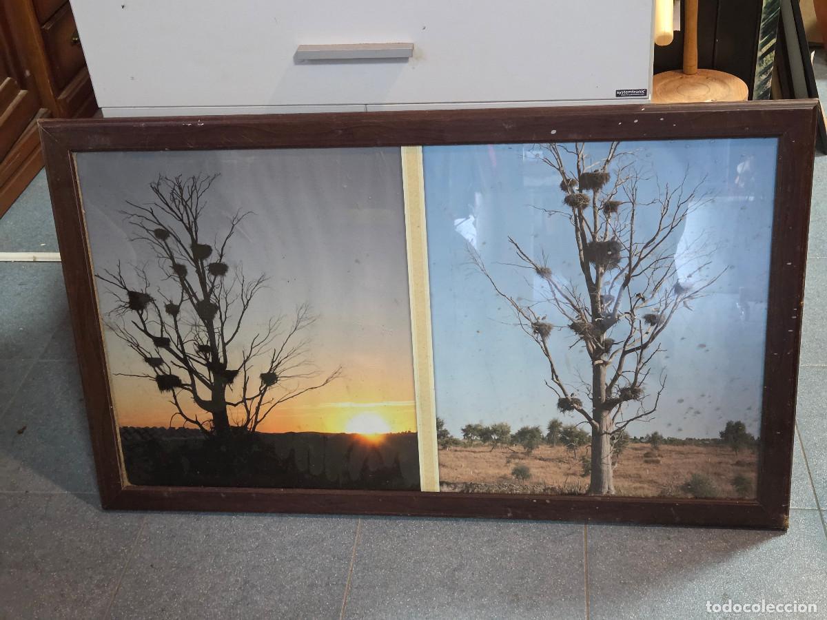 Antig&uuml;edades: marco antiguo de madera - Foto 1