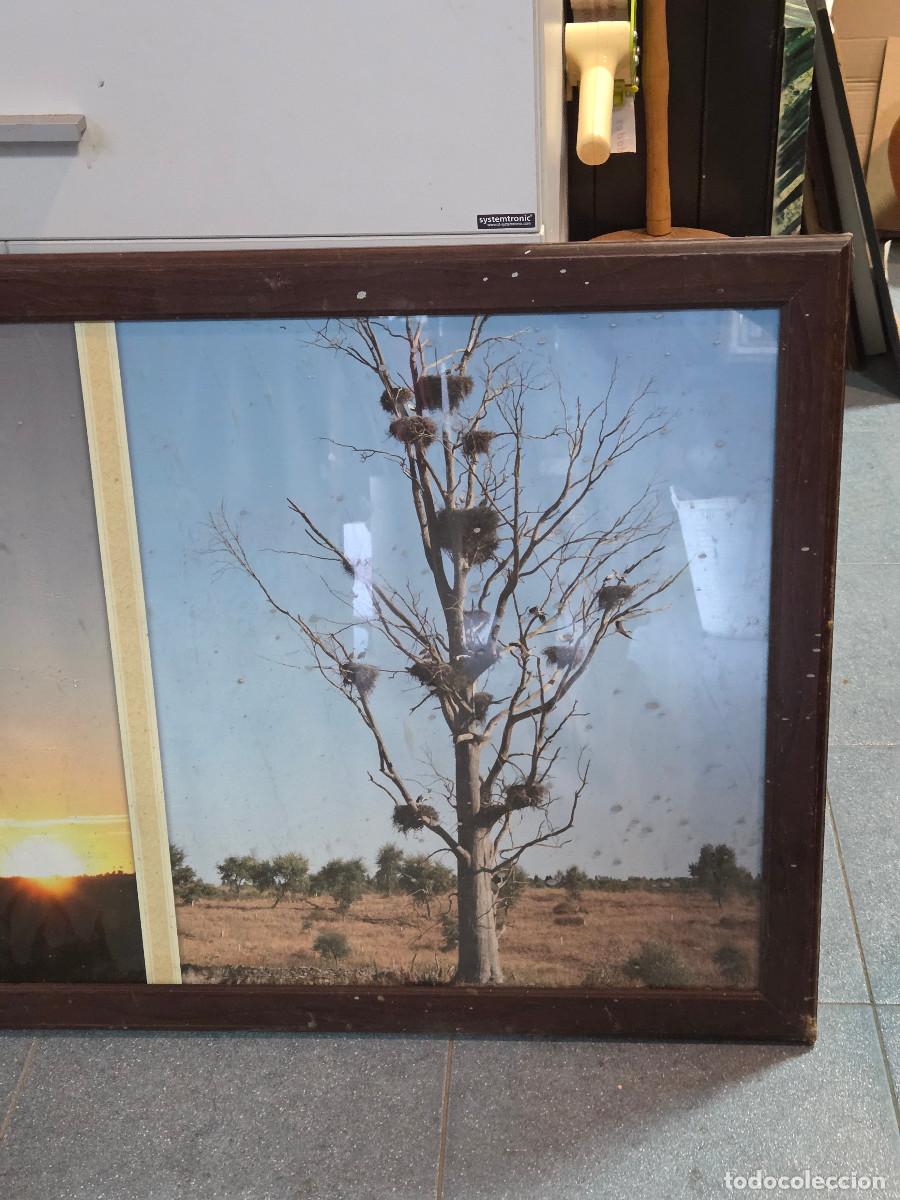Antig&uuml;edades: marco antiguo de madera - Foto 2