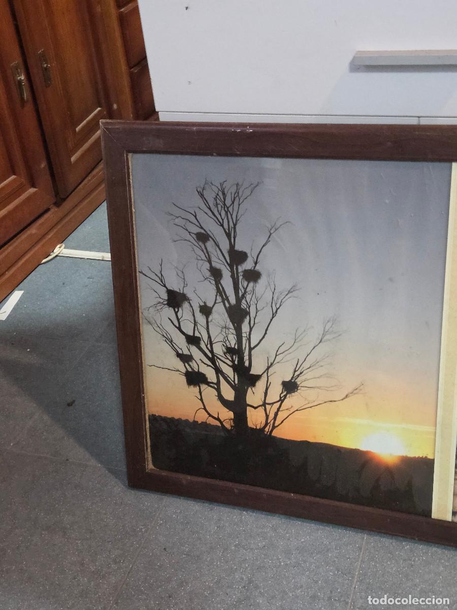 Antig&uuml;edades: marco antiguo de madera - Foto 3