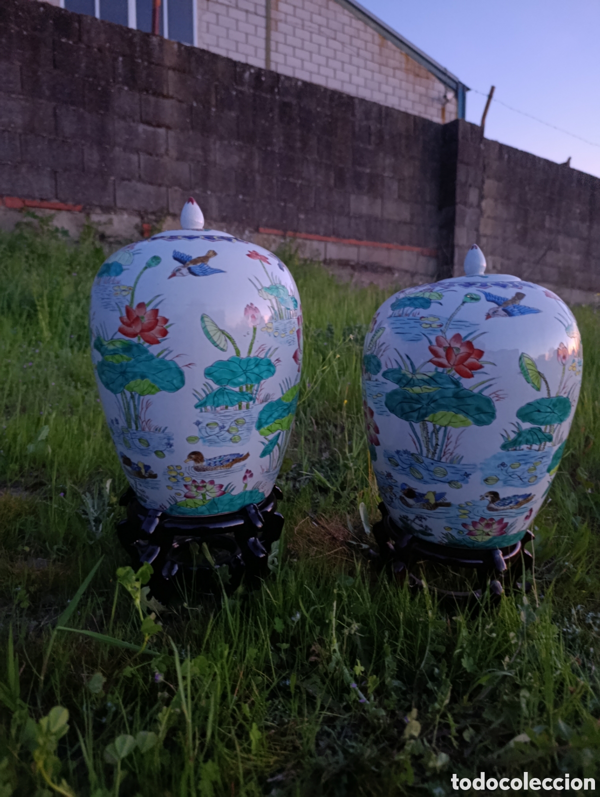 Antig&uuml;edades: Pareja de taros de jengibre - Foto 2