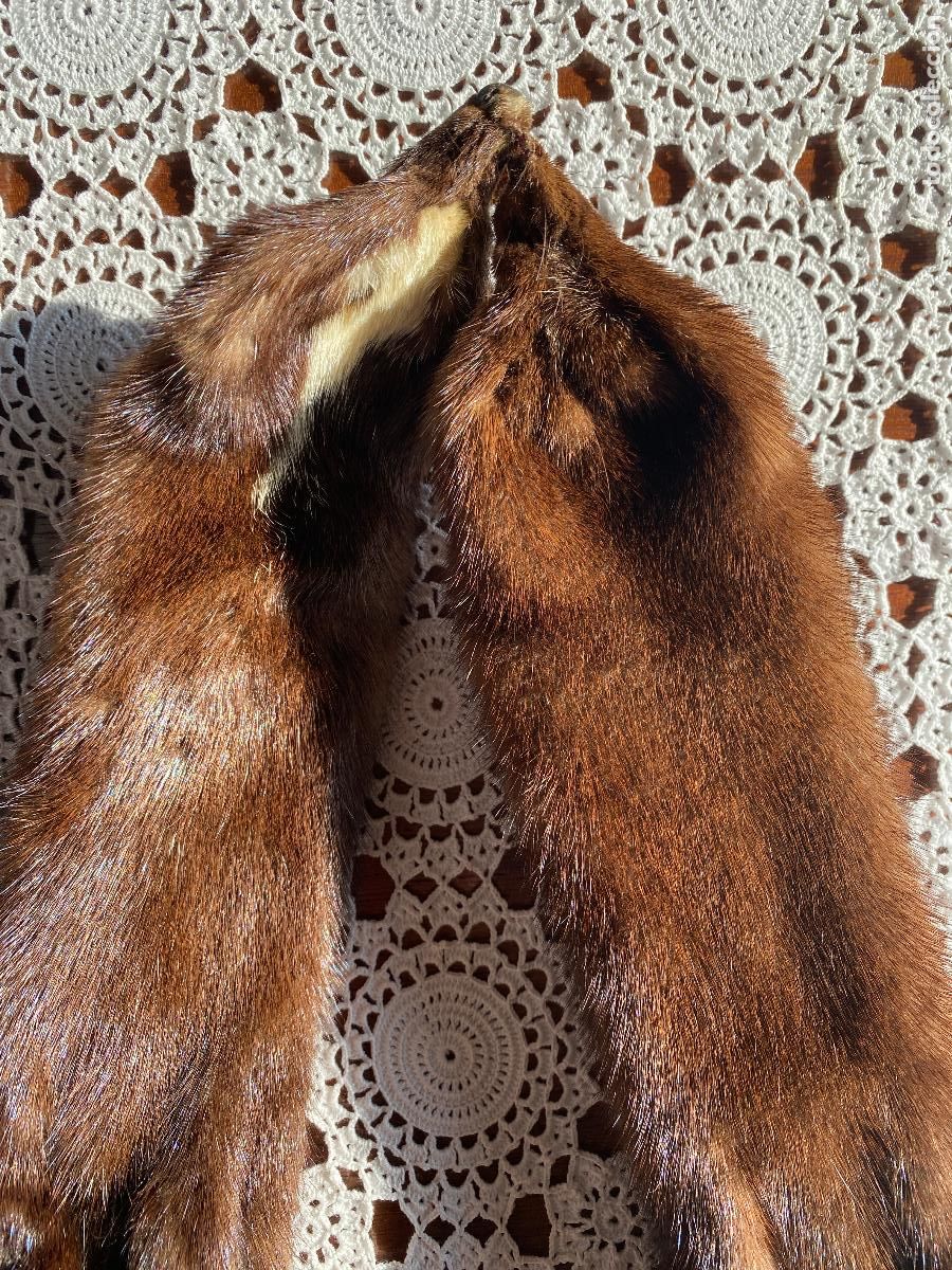 Antiques: Estola em vison castanho escuro