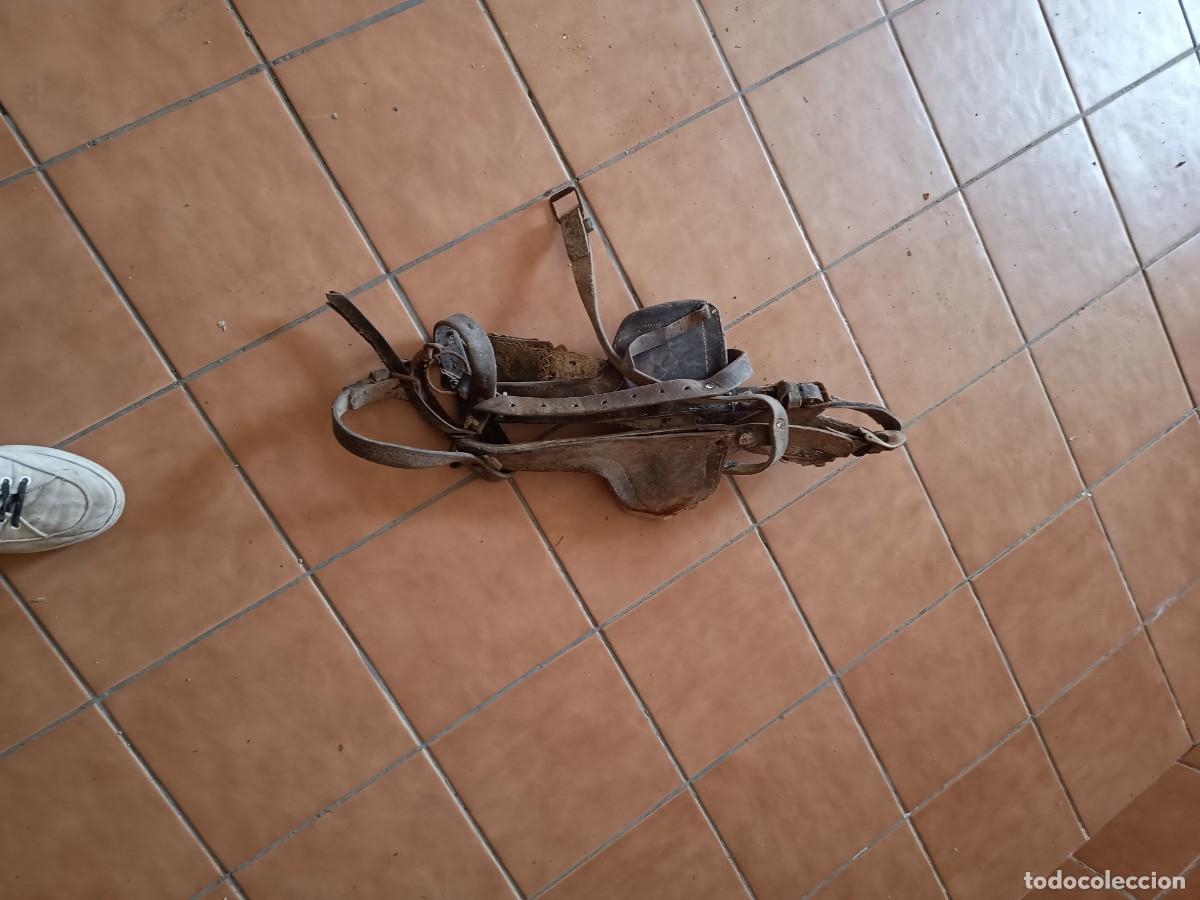 Antig&uuml;edades: Cabezada de caballo Rustica - Foto 1