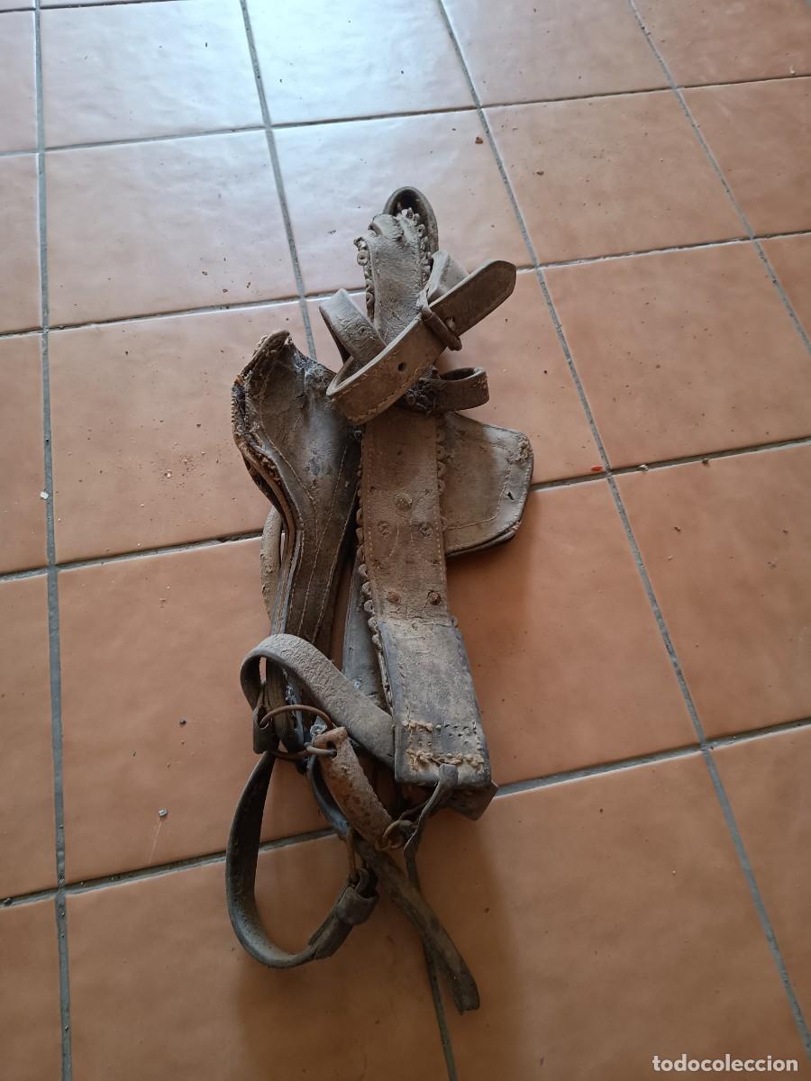 Antig&uuml;edades: Cabezada de caballo Rustica - Foto 2