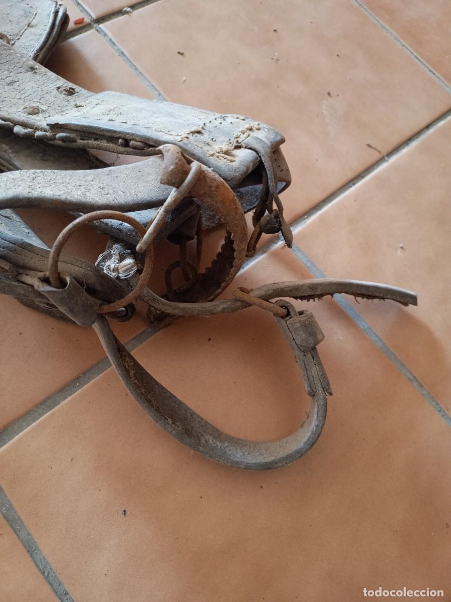 Antig&uuml;edades: Cabezada de caballo Rustica - Foto 3