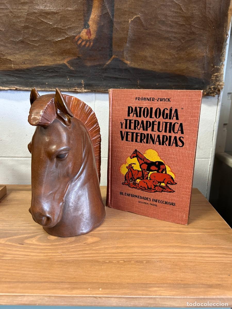 Antig&uuml;edades: Escultura Caballo de Lladr&oacute; - Foto 6
