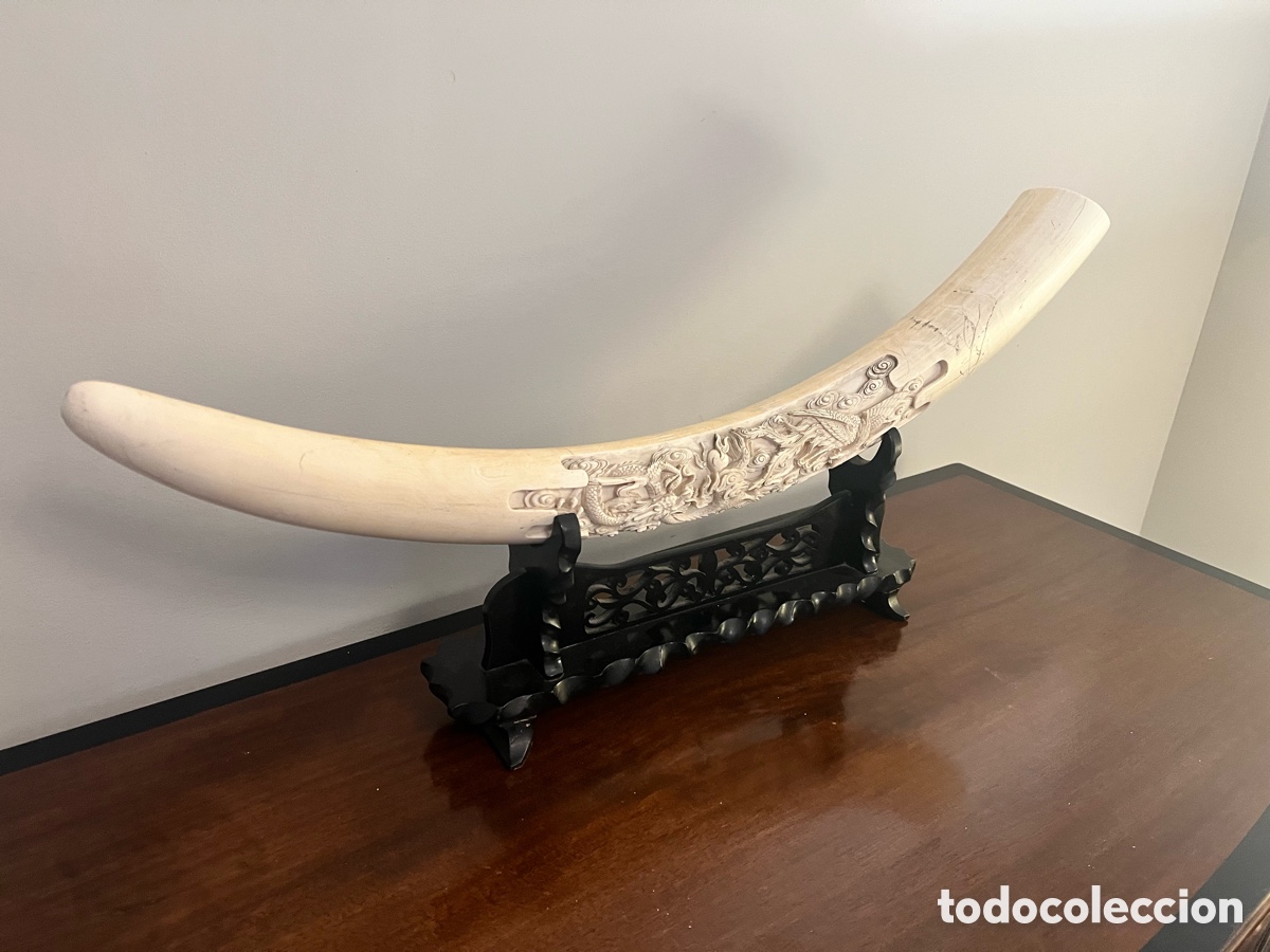 Antig&uuml;edades: Colmillo marfil con talla de drag&oacute;n - Foto 2