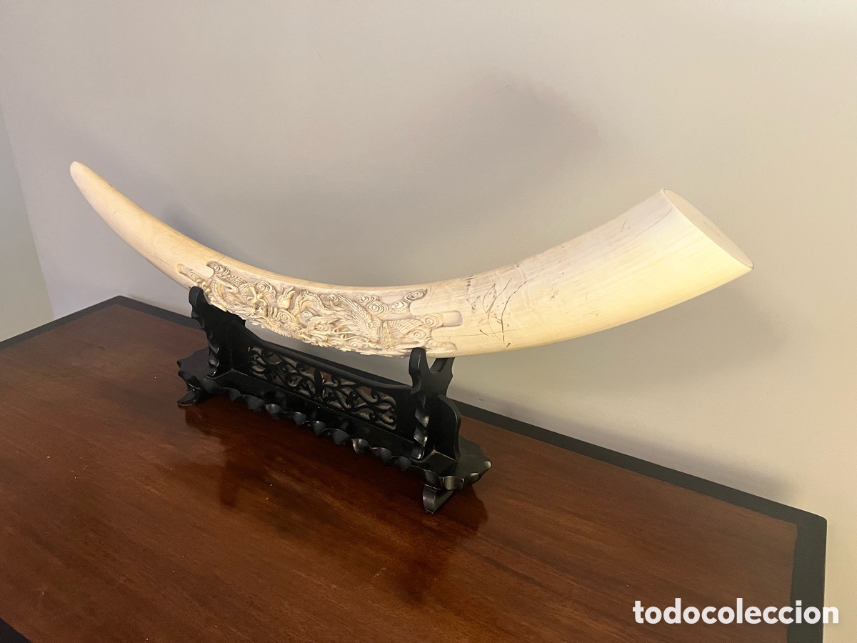 Antig&uuml;edades: Colmillo marfil con talla de drag&oacute;n - Foto 3