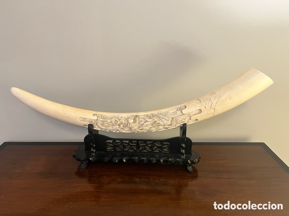 Antig&uuml;edades: Colmillo marfil con talla de drag&oacute;n - Foto 1