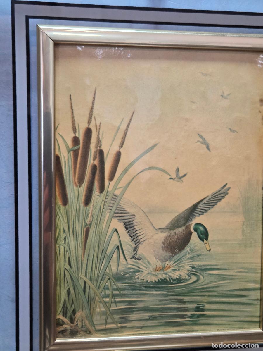 Antig&uuml;edades: cuadro lamina vintage - Foto 2