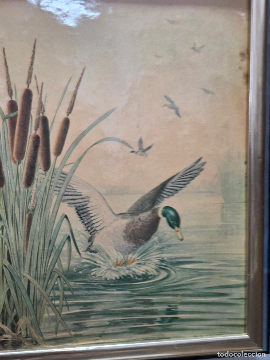 Antig&uuml;edades: cuadro lamina vintage - Foto 3