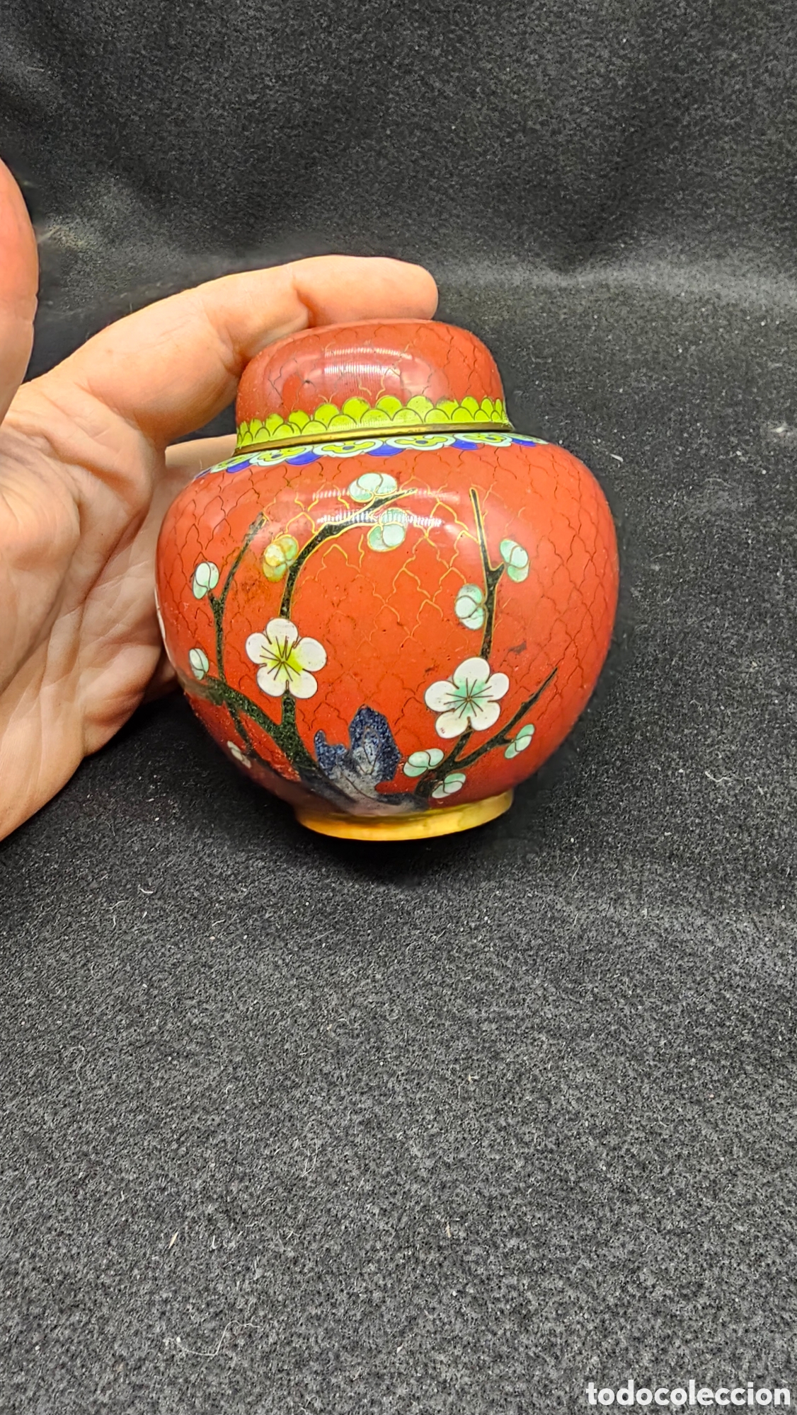 Antig&uuml;edades: Antiguo tibor de cloison&eacute; / cloisonne