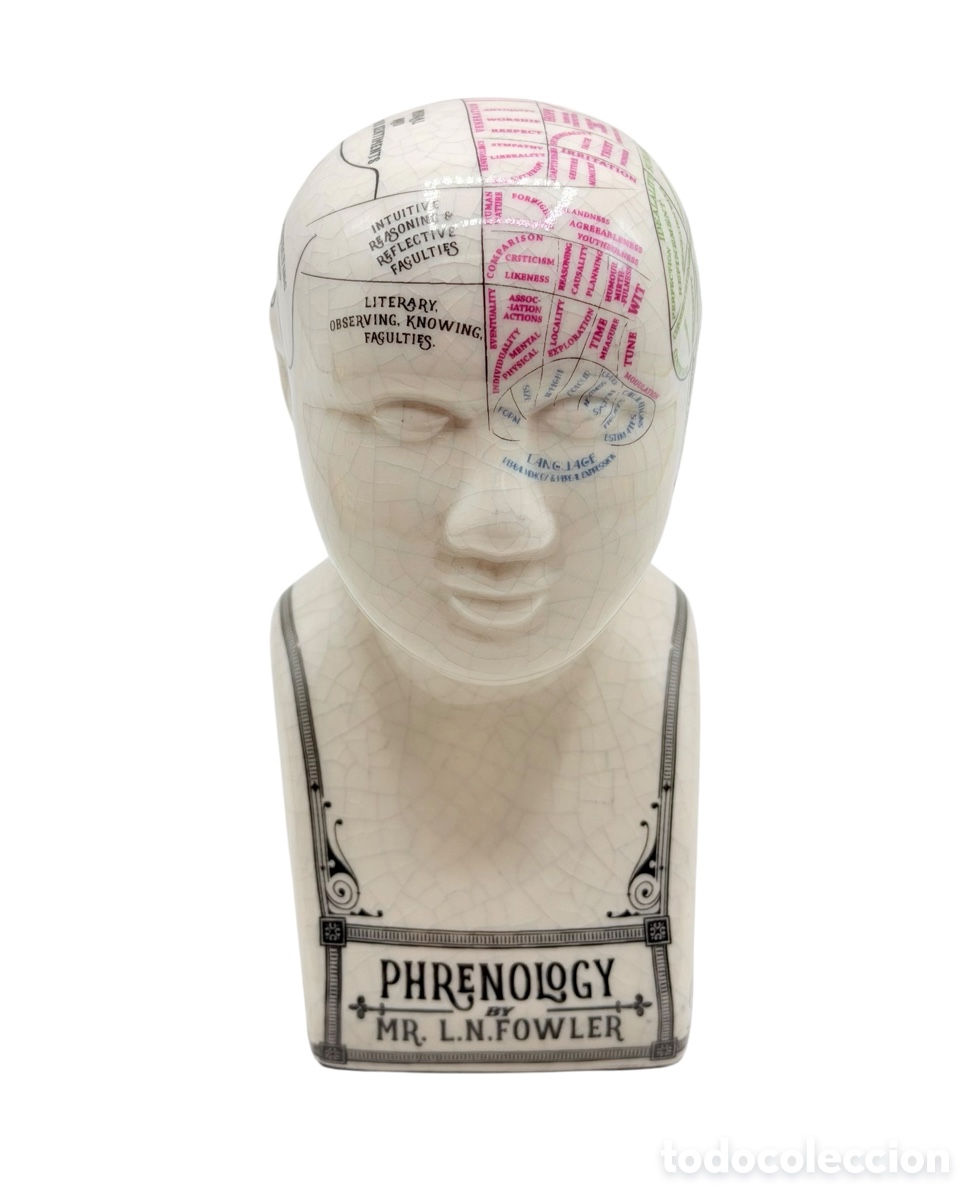 Antiguidades: Curiosa Figura Busto de Cer&aacute;mica