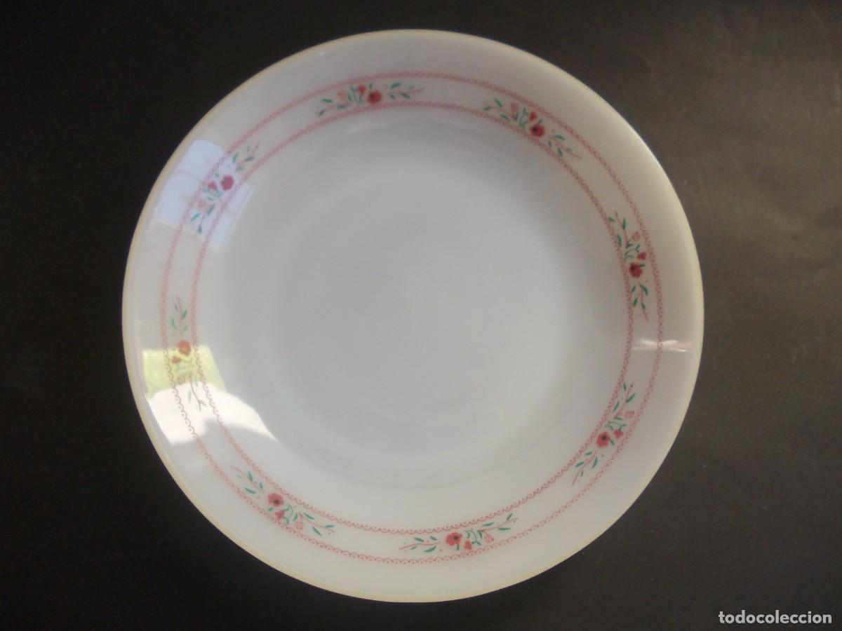 Antig&uuml;edades: Plato Termocrisa M&eacute;xico vintage flores borde rosa cer&aacute;mica retro colecci&oacute;n