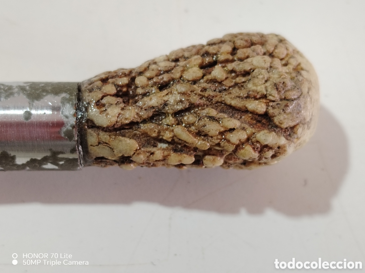 Antig&uuml;edades: Bast&oacute;n antiguo con mango de cuerno - Foto 3