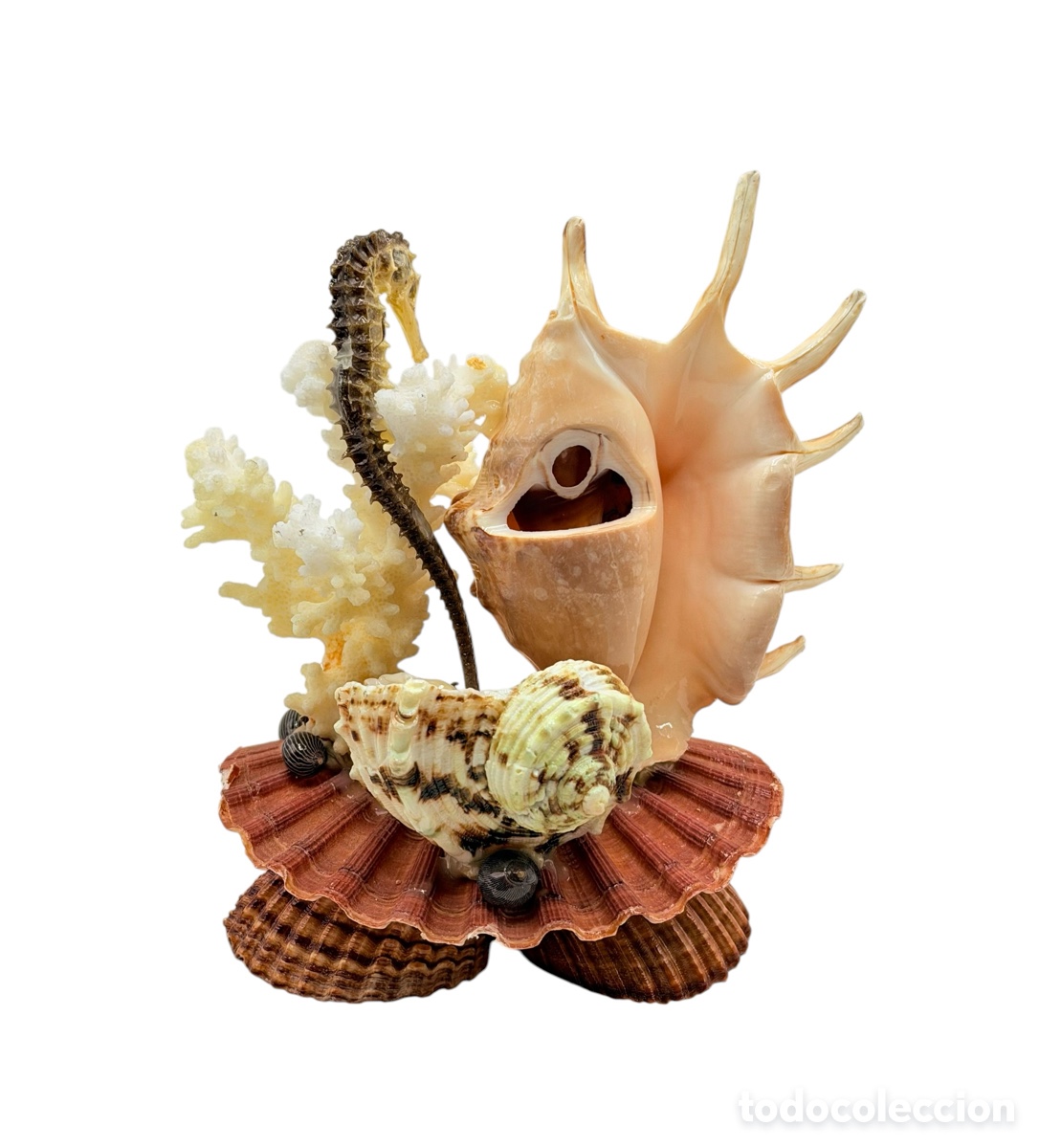 Antiguidades: Adorno decorativo Marino