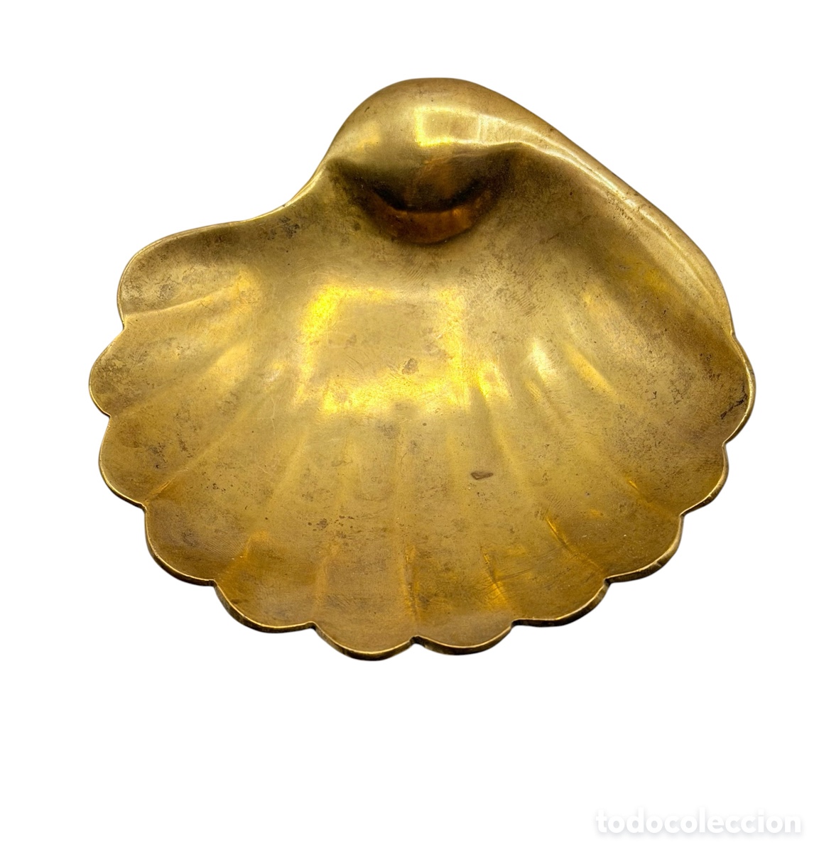 Antig&uuml;edades: Antigua Concha Jabonera