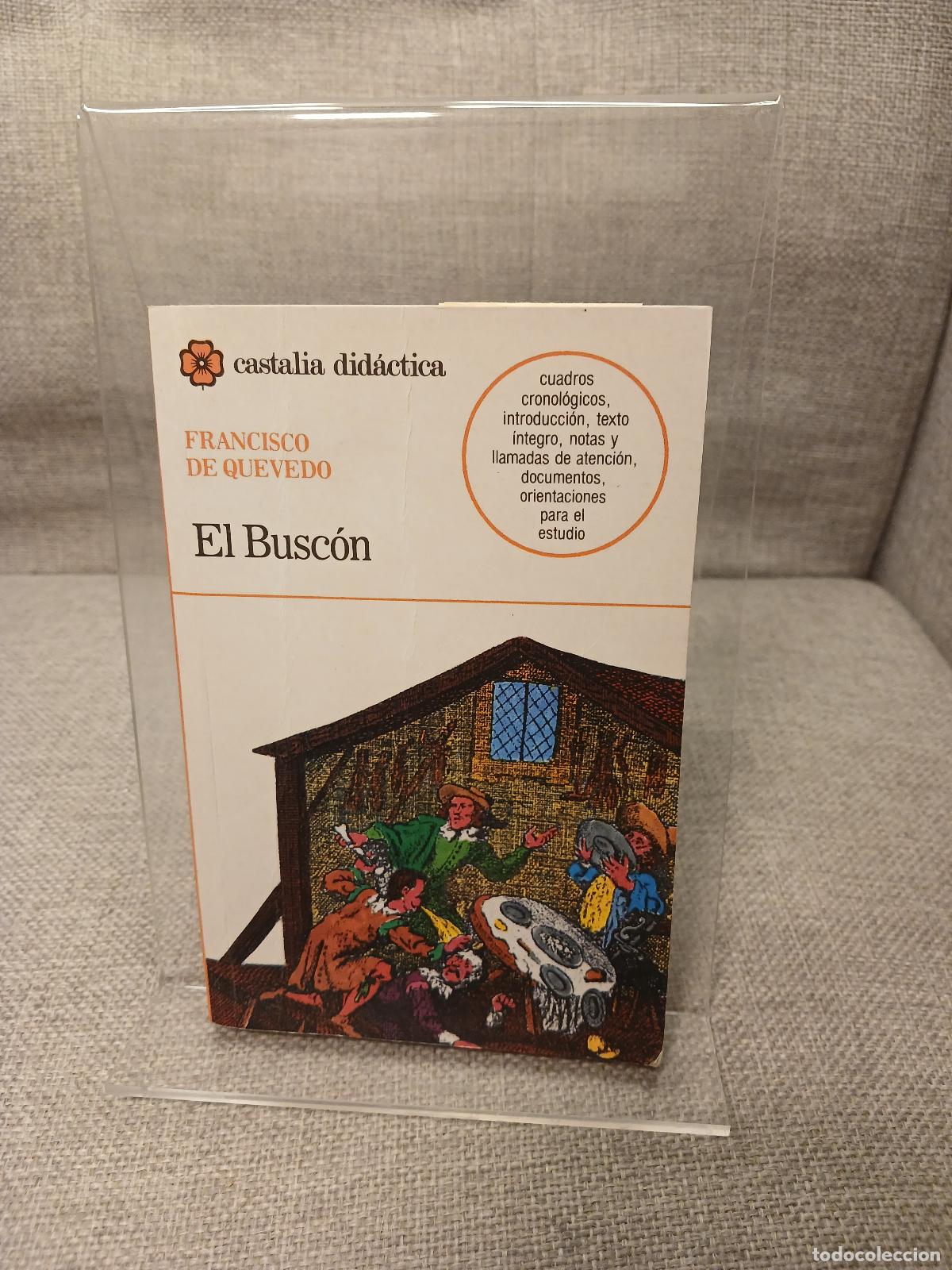 Antiguidades: La vida del Busc&oacute;n, llamado don Pablos : con cuadros cronol&oacute;gicos, introducci&oacute;n, bibliografia, notas