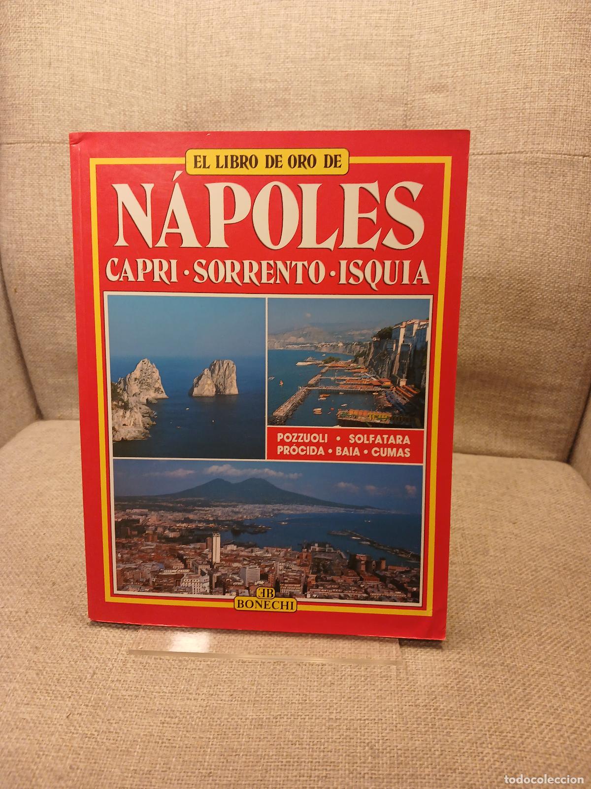 Antiguidades: Napoli. Capri. Sorrento. Ischia. Ediz. spagnola - Giuliano Vald&eacute;s