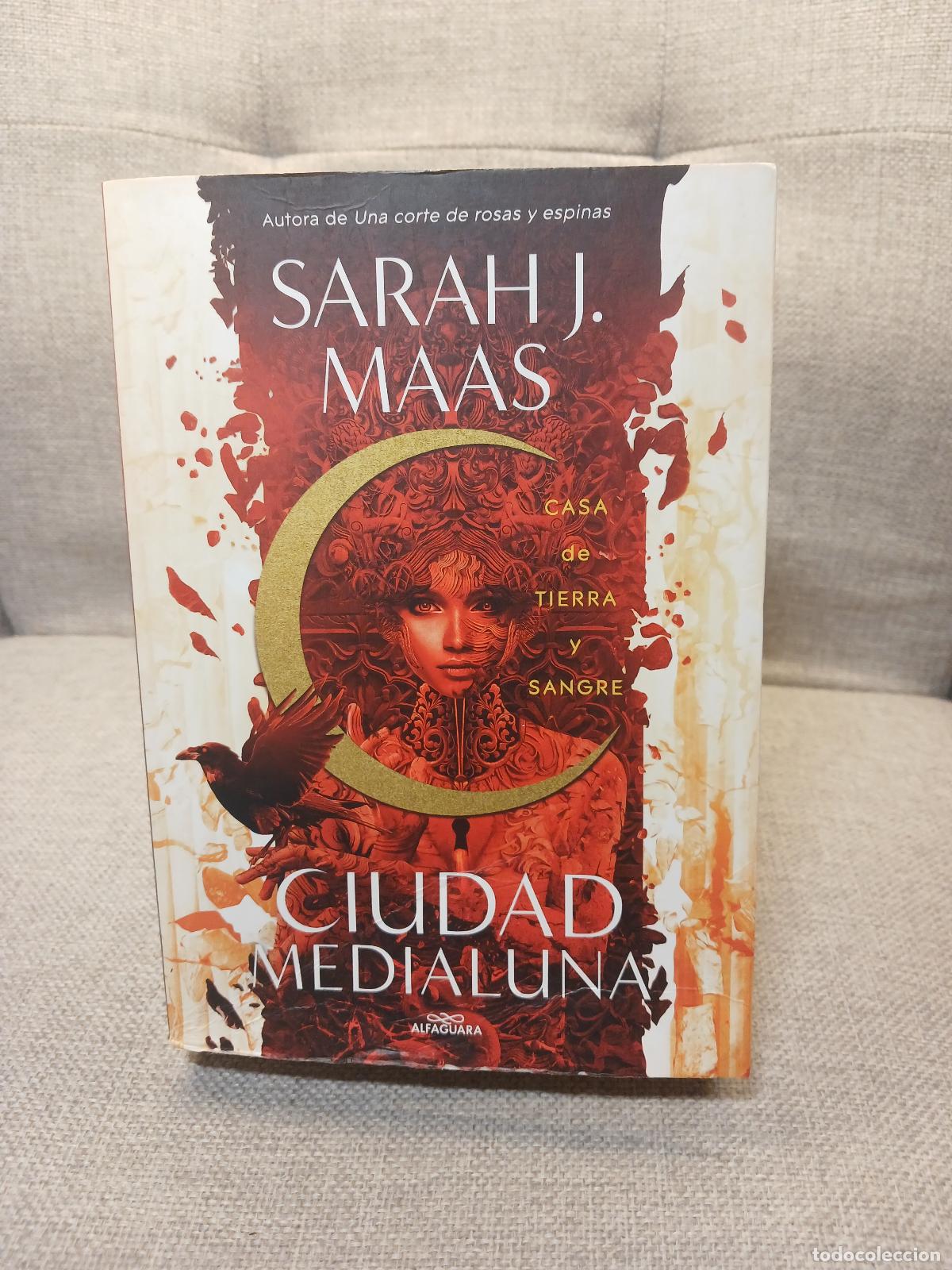 Antiquit&eacute;s: Casa de tierra y sangre - Sarah J. Maas