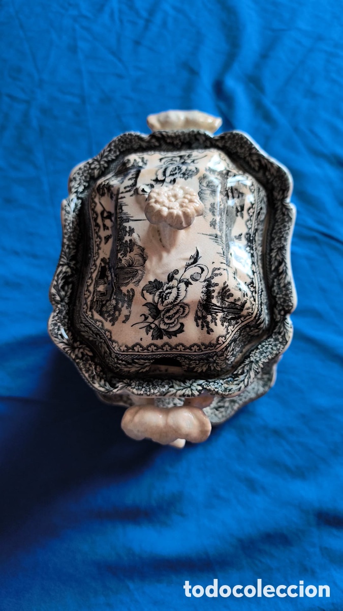 Antig&uuml;edades: Magn&iacute;fica sopera de Sargadelos 3 &egrave;poca 1845 - Foto 2
