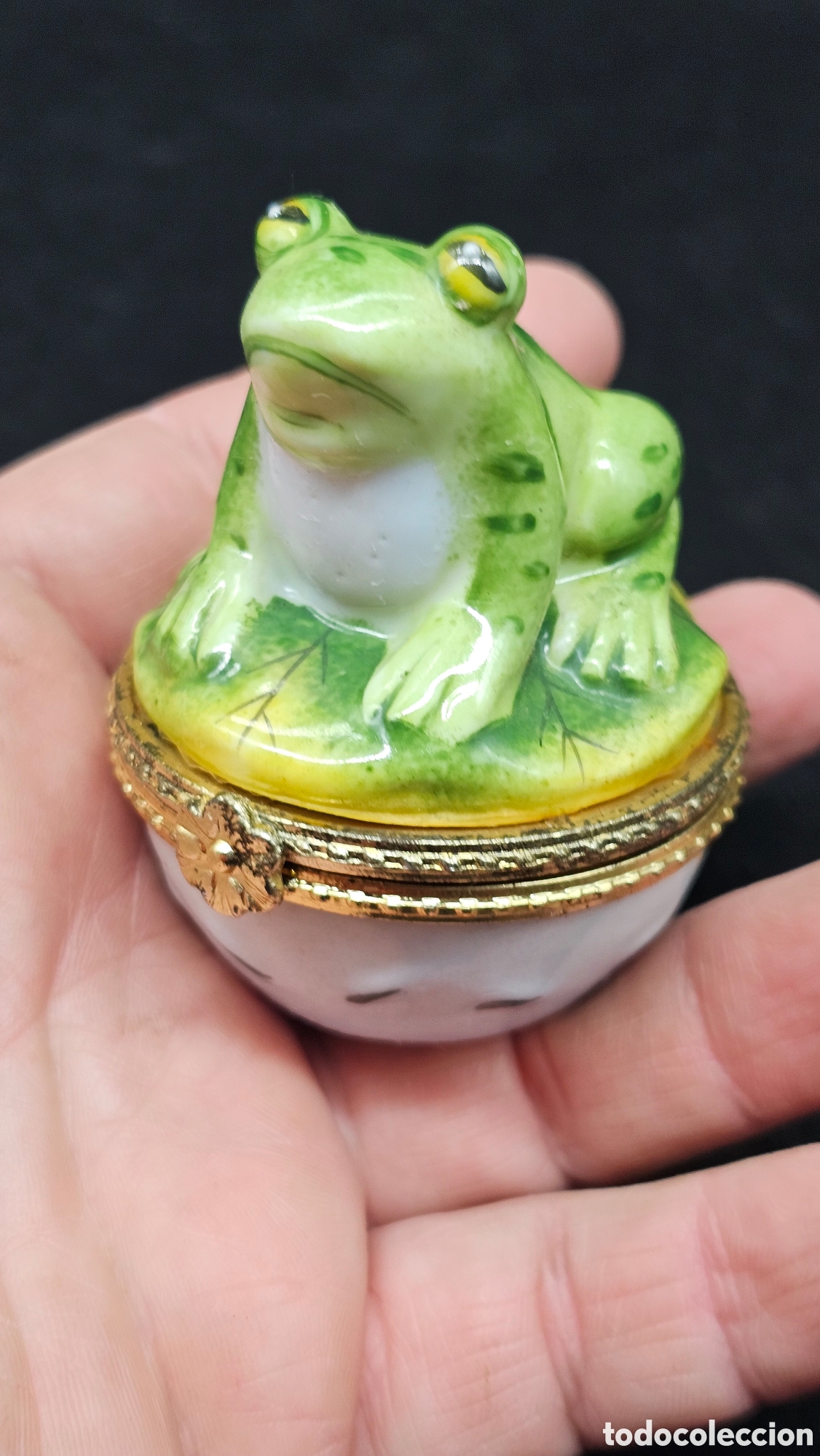 Antig&uuml;edades: Antigua cajita de colecci&oacute;n