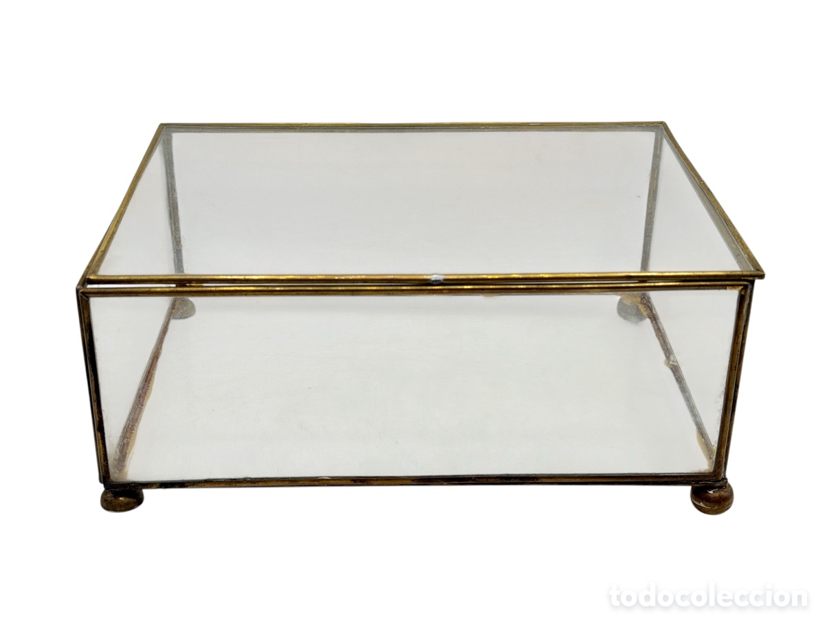 Antiquit&eacute;s: Antigua Caja Expositor de Cristales